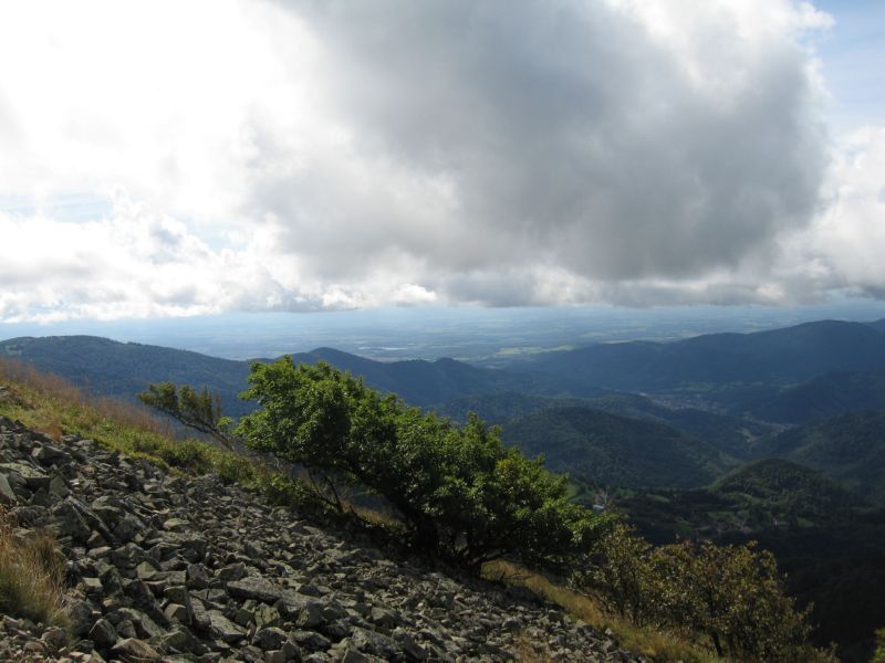 2008-09-08b Grand Ballon (06) views